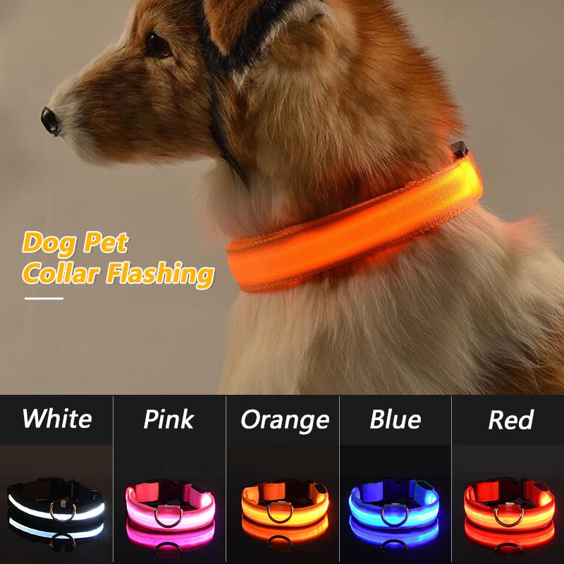 luminous dog collar