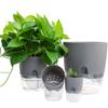 Office Auto Irrigate Succulents Garden Supplies Planters Flower Pots Plant Pot Home Decor