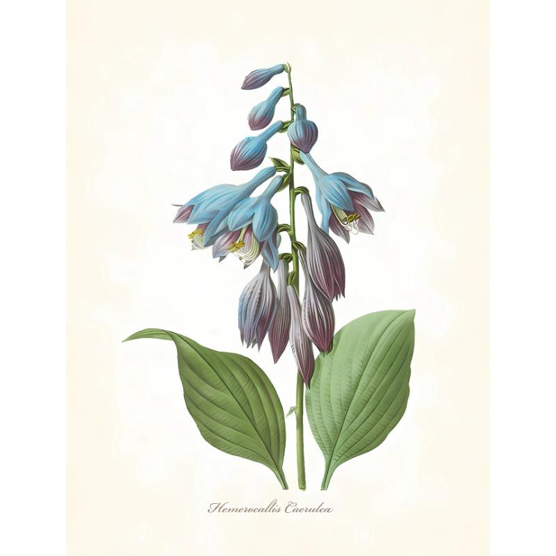 

Винтажный ботанический постер с синими цветами и зелеными листьями, холст, пасторальные настенные картины, декор для спальни и дома 21cm×30cm NoFrame