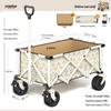 Accesorii pentru bagaje – Cărucioare pentru bagaje