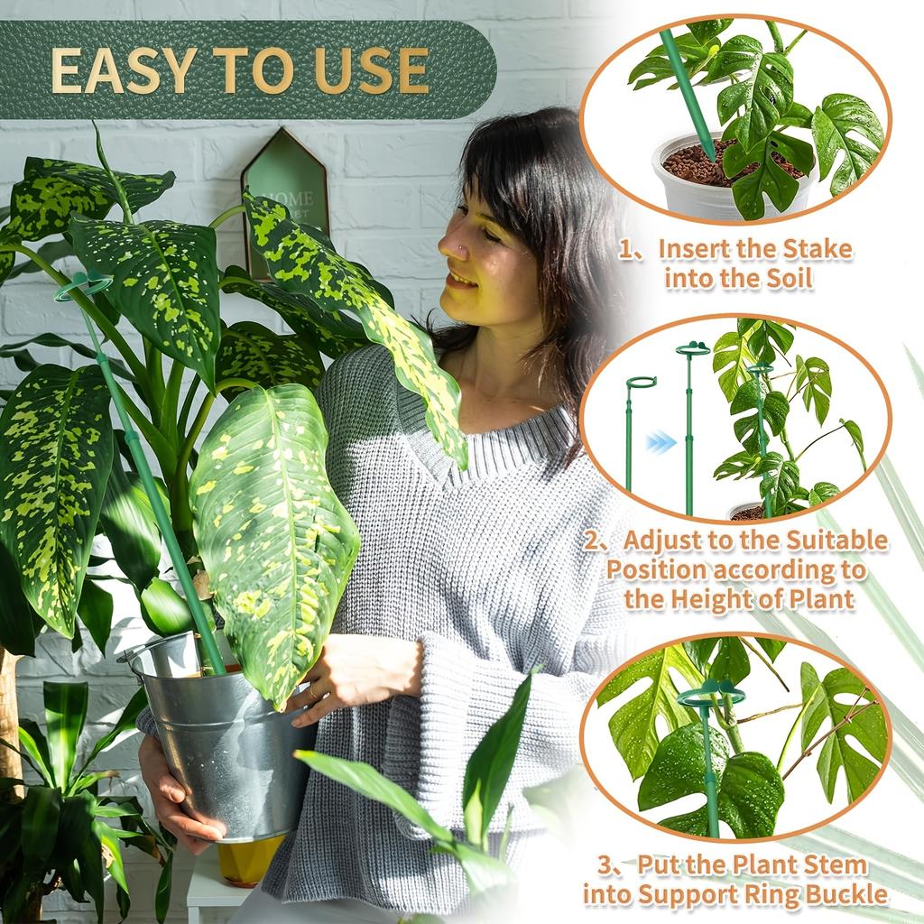 1pc Plant Flower Support Pole Climbing Plant Support Rods With Fixed Buckle For Succulent Butterfly Orchids Garden Accessories