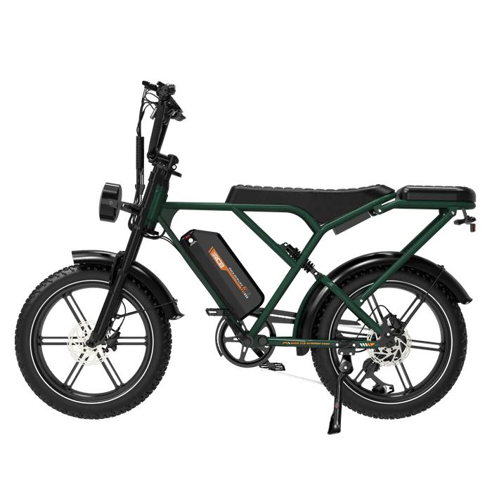 RCB G19 All-Terrain Electric Bicycle For Adult With Seat 48V20.8AH Battery 750W Motor E-Mountain Bike 20 Inch Fat Tires City Electic Bike