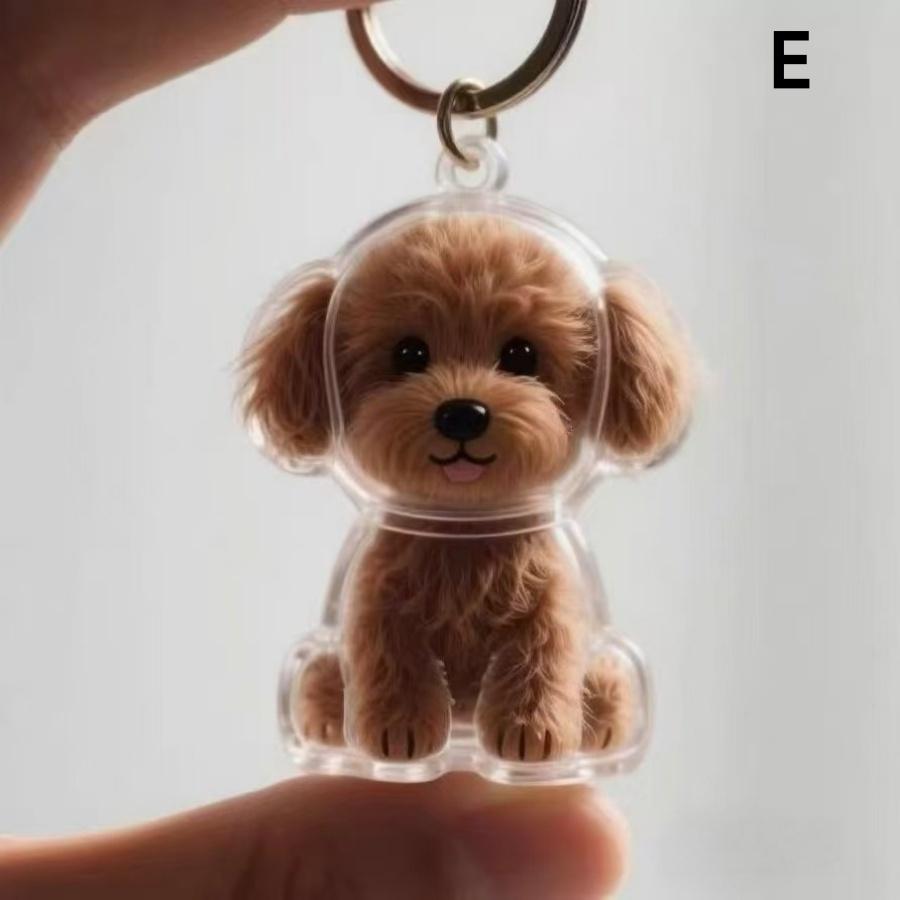 

Pet Fur Storage Pendant - Transparent Sealed Fur Storage Box - Keychain Keepsake for Cats and Dogs