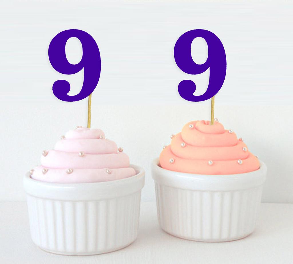 Darling Souvenir| Number 9 Birthday Year Cupcake Toppers| Birthday  Anniversary Party Dessert Decorations - Pack Of