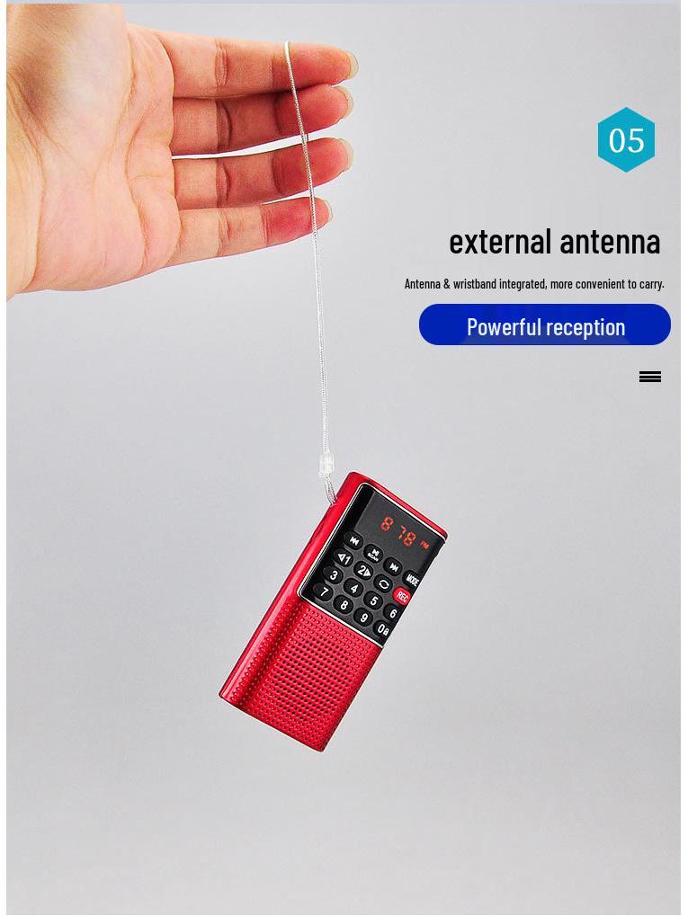 Happy Companion L-328 Mini Speaker & Recorder with Multifunctional Radio and Music Player