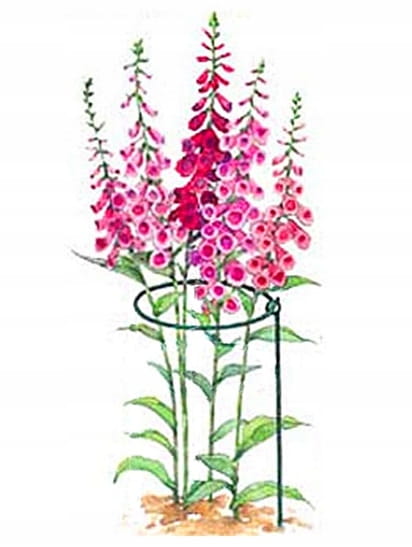 Long Stem Plant Support 90x26cm Dark Green Steel