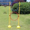 Hongda Kaisheng Agility & Coordination Training Equipment