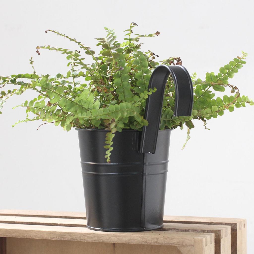 Ins Simple Black Distressed Tin Flower Bucket with Detachable Hook - Decorative Flower Pot Holder