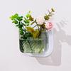 Transparent Wall-Mounted Plant & Fish Tank for Office/Living Room Décor
