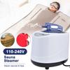 1000W Sauna Steamer Pot Machine Portable Sauna Steam Generator Fumigation Machine for Home Spa Supplies