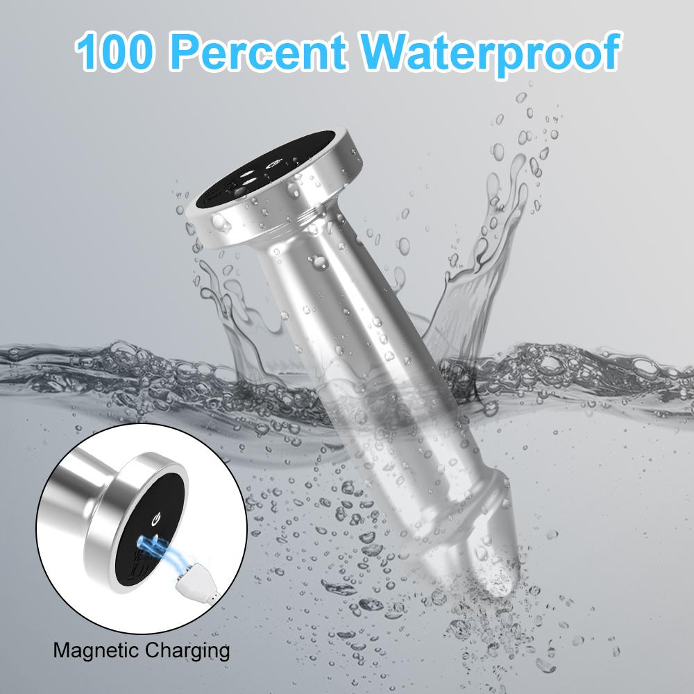 APP Metal Vibration Simulation Glans Anal Plug Adult Supplies Sex Toys Wearable Unisex