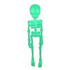 3D Printed Skeleton Refrigerator Magnet Halloween Poseable Skeleton Figurine with Movable Joints