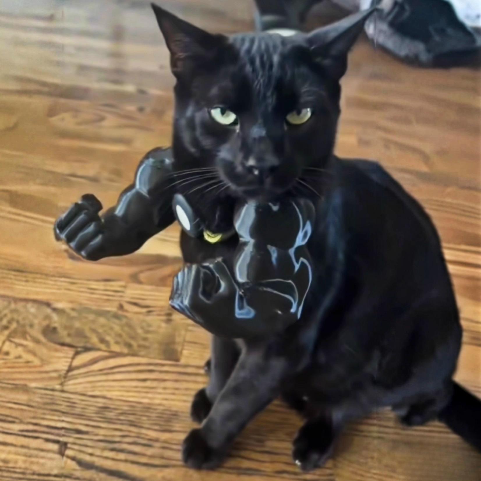 

NEW Cat muscle arm pendant Hulk toy 3D printed neck hanging prank toy pet arm ornament S