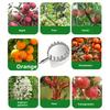 16/20 Diameter High-altitude Fruit Picker Fruit, Apple,Persimmon, Toon,Stainless Steel Telescopic Rod Positioning Picking Device