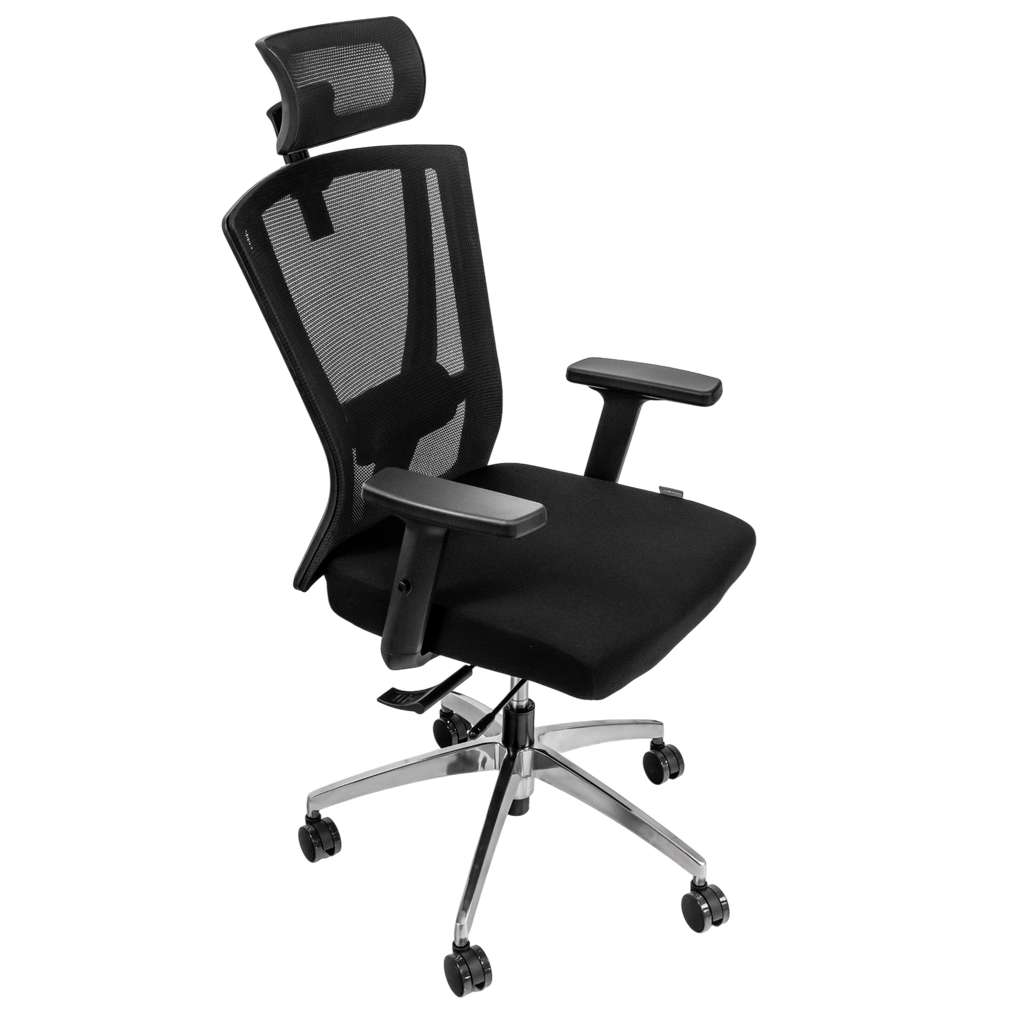 Furvero Zenith BA/A2D/L2D/H2D/S Swivel Office Chair Black N
