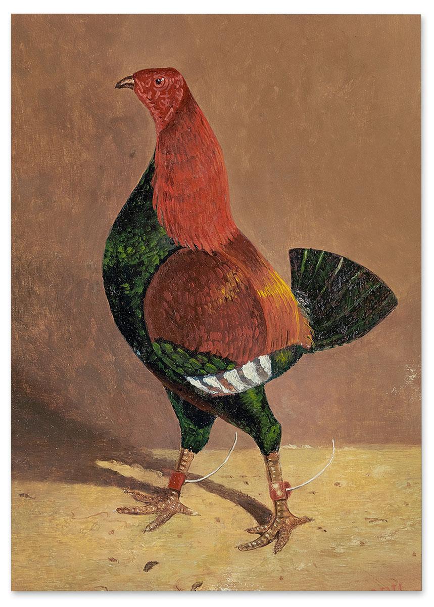 

Plakat kura ilustracja 30x40 cm