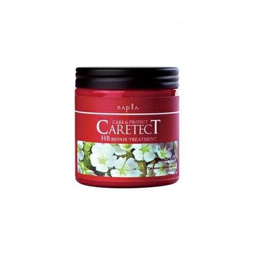 Napla Caretect HB Repair Treatment (250 G)