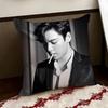 Singer TOP Cushion Cover Reversible Soft Durable Pillow Cover Home  Car MultiScene Use for Daily Comfort