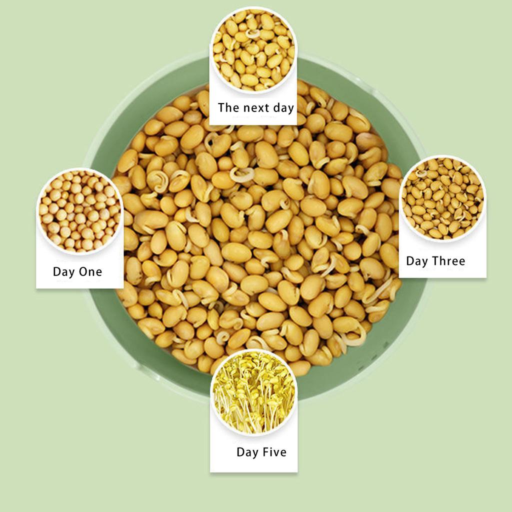 Unique Design Automatic Bean Sprout Machine Applying Pressure Thicker Whiter Tender Sprout Healthy Eating Choice