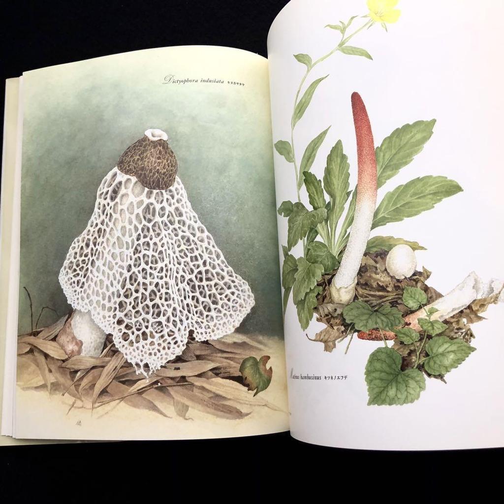 [USED] Michiko Kobayashi Art Collection "Mushrooms" 1993 First Edition Yama-to-Keikoku-sha