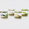 Fish Tank Toy Miniature Ornaments Resin Dollhouse Fish Tank Scene Accessories