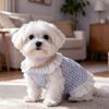 Pet cat clothes, summer thin style, suitable for small puppies, teddy bears, and Yorkshire terriers, featuring a bow and lace trim, vest-style dress