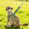 Soft Guinea Pig Harness Escape Proof Ferret Anti Loss Rope Ferret Harness Leash  Small Pets