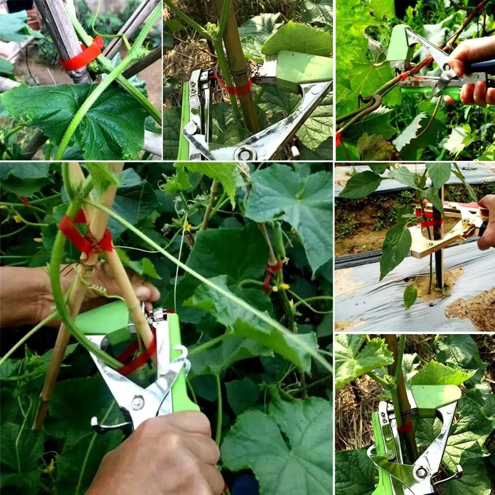 10pcs 10PCS Tying Machine Tape Tying Binding Tool Vegetable Fruit Tree Taper  Garden Use