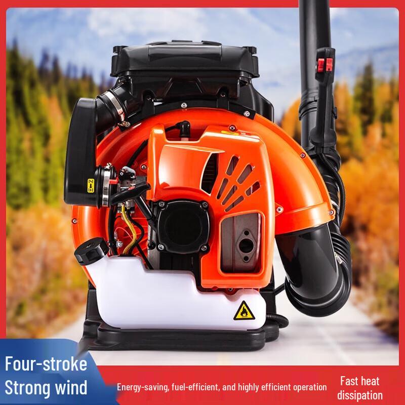 Longlida EBV260 High-Power Gasoline Blower CN plug (adapter included)