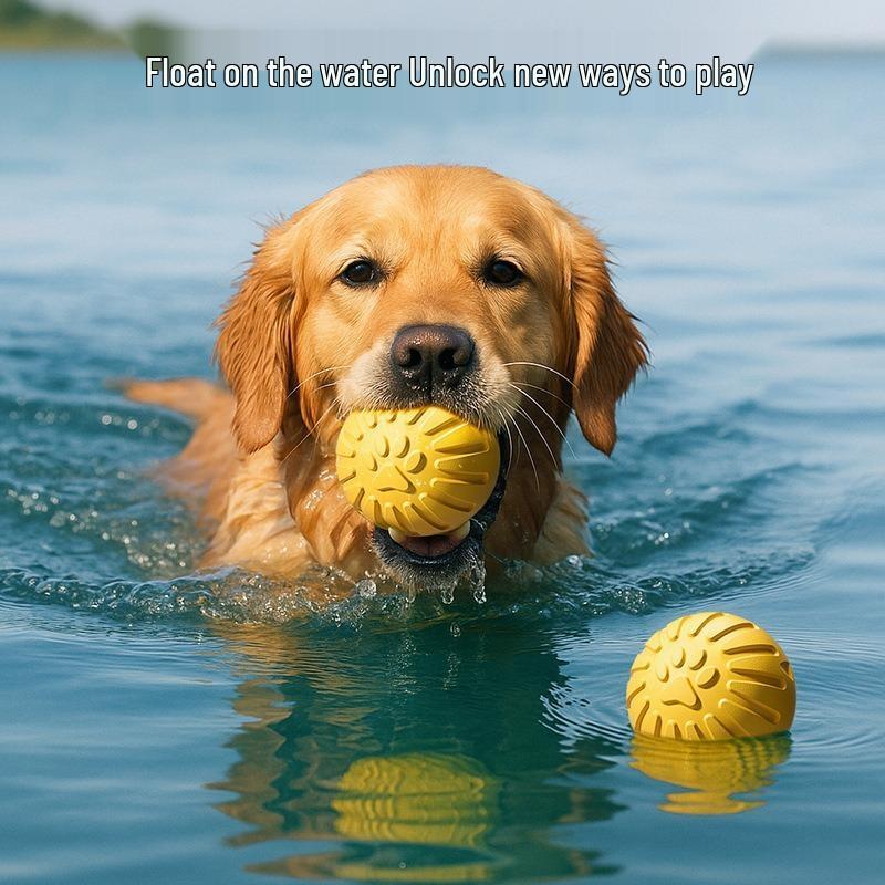 Brinquedo Frisbee Durável para Cães de Raças Grandes - Perfeito para Border Collies & Golden Retrievers