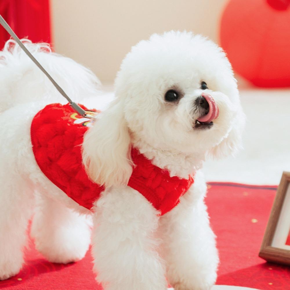 Pet Clothes Warm Dancing Lion Cat Coat Red Fluffy New Year Pet Vest Embroidered Soft Winter Dog Jacket Puppy Dogs