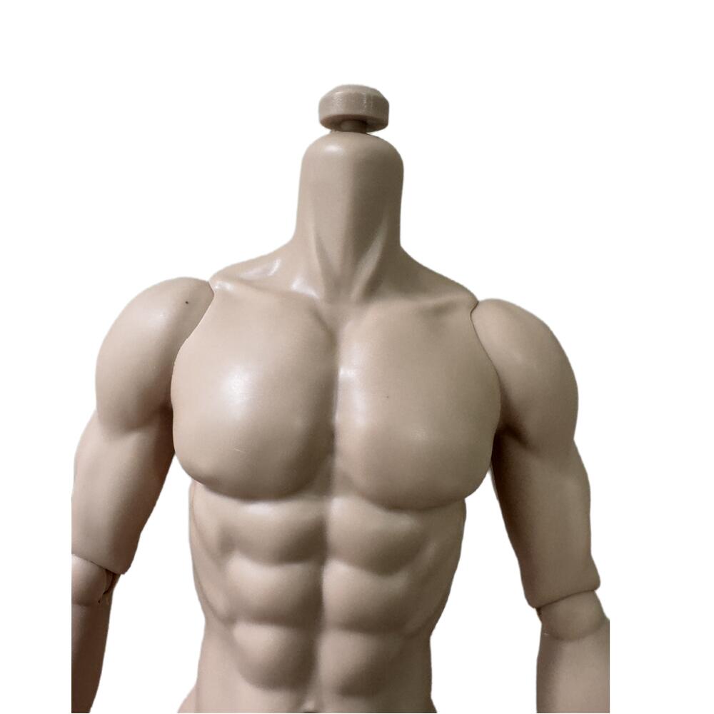 32cm Oryginalne Ciało Lalki Mięśniowej Adonis 1/6 Ruchome Stawy Opalony Kolor Skóry Męski Manekin Skala Męski Kolekcje Limitowane Dla Głów IT/KEN