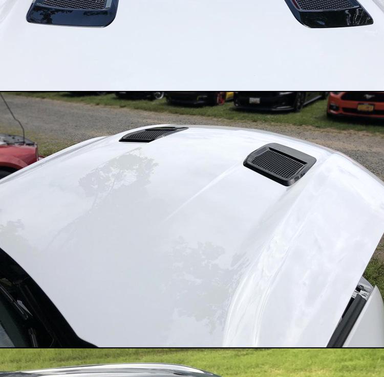18-23 Ford Mustang Custom Dry Carbon Hood Vents Replacement