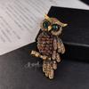 Fashion Owl Golden Pin, Women's Anti-exposure Buttons, Fixed Clothes Collar Accessories, Wedding Party Gifts