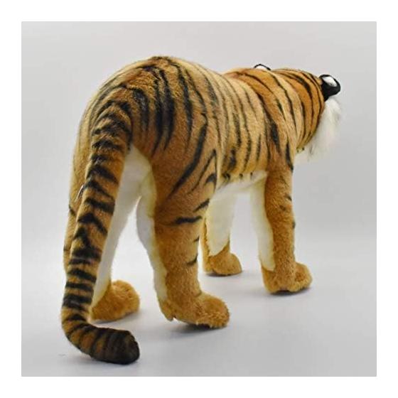 BH5332 HANSA Tiger 70