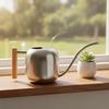 Stainless Steel Watering Can Modern with Wooden Handle Silver Vessel for Plant Lovers,
