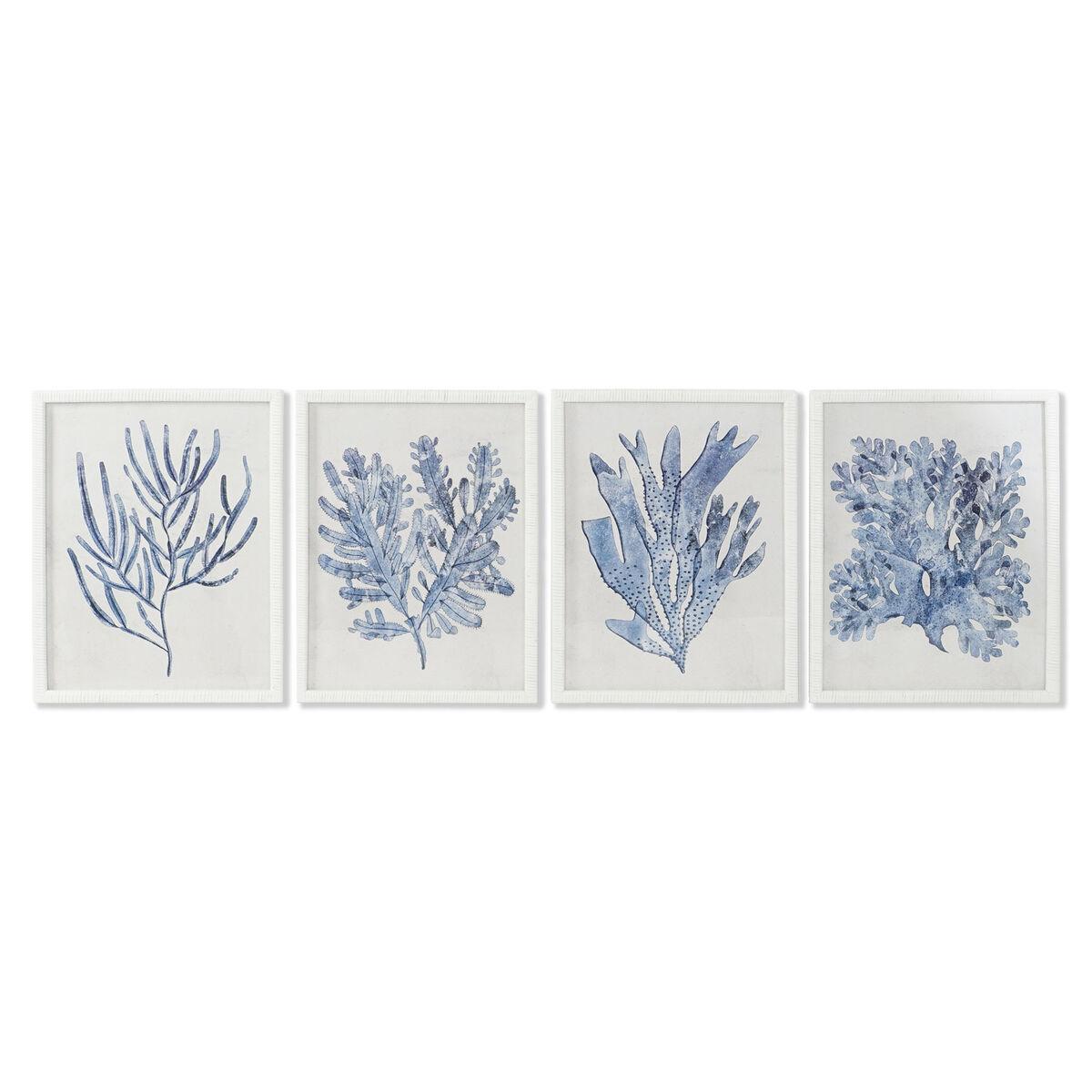 

Каркас для дома Mediterranean ESPRIT 50 x 2,5 x 65 см (4 единицы) TU прозрачный