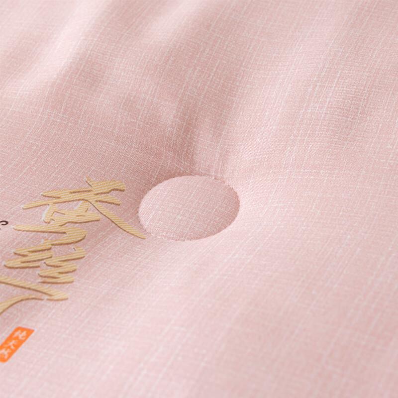 Yueda Silky All-Season Duck Down Quilt