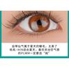 Bonnie Wisp - Natural Individual Multipack False Eyelashes (Various Designs)