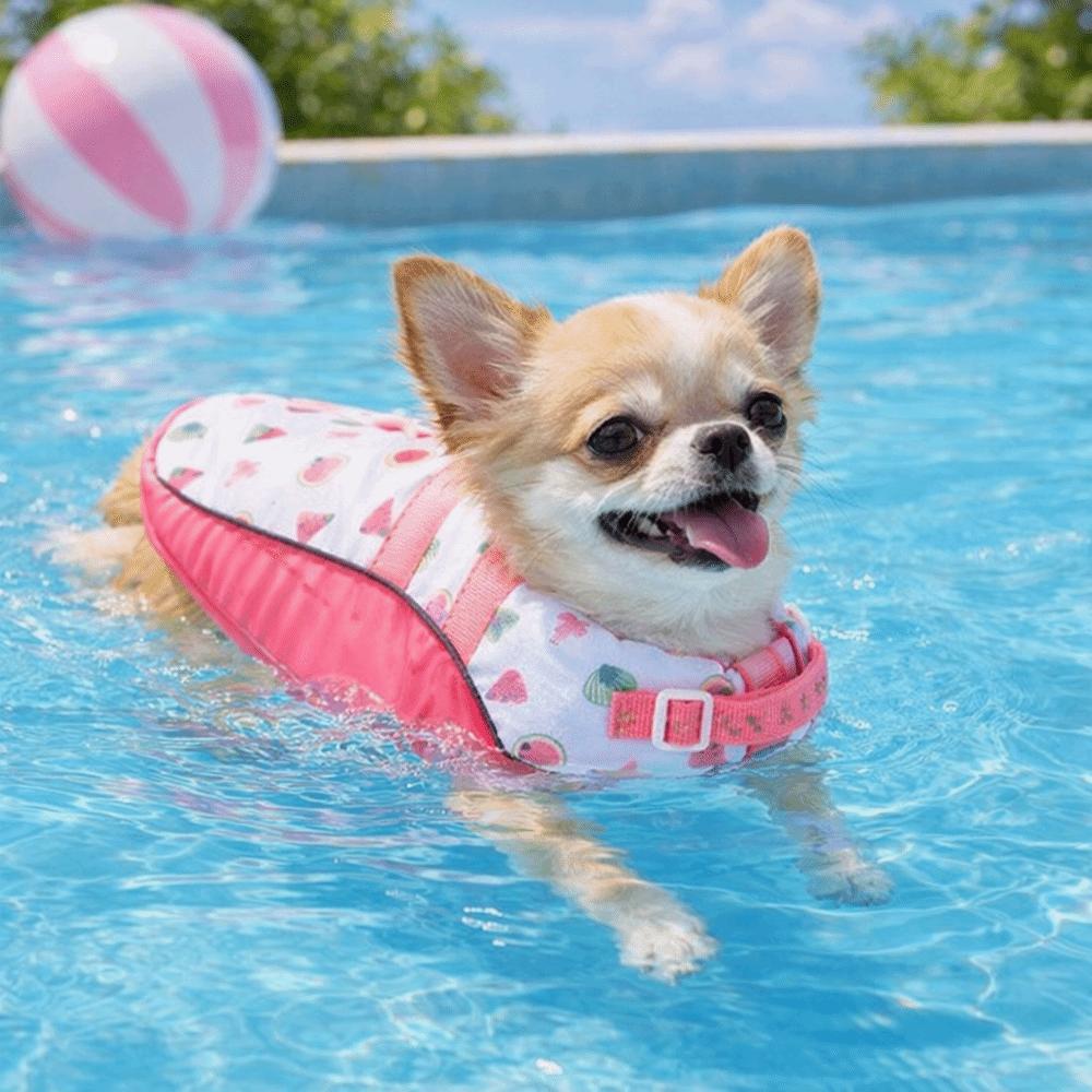 Adjustable Pet Safety Vest High Buoyancy High Flotation Life Vest Small Medium Dogs