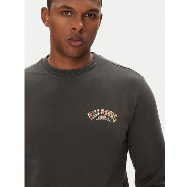 Толстовка Billabong Foundation Cr