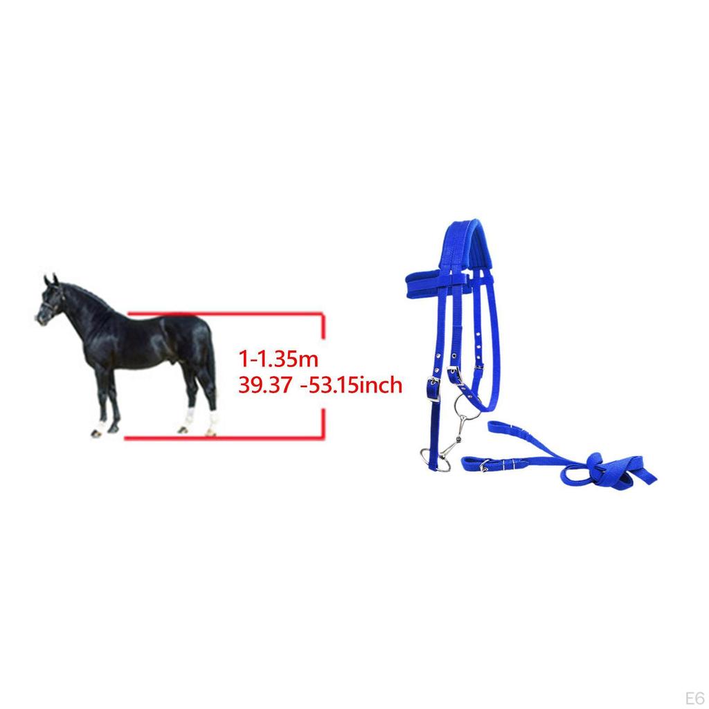 Horse Bridle with Rein And Leading Rope Equestrian Gear for Comfortable Use