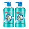 Bee & Flower Herbal Ginger Anti-Dandruff Shampoo