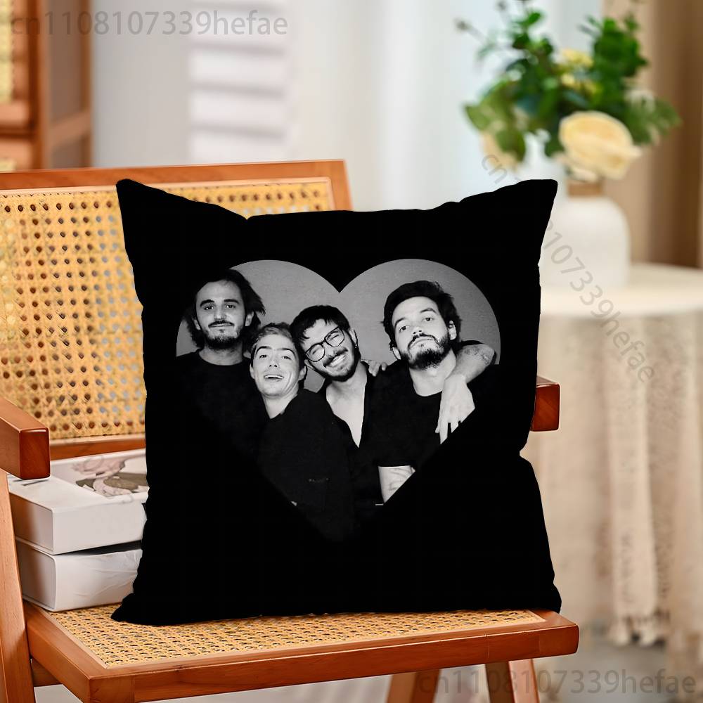 

MMorat Band Pillow Case Plush Pillow Cases Home Decoration Pillow Cover for Sofa Bed Chair Living Room 30x30cm