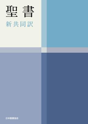 Medium-sized Handy Bible New Interconfessional Translation NI34H