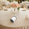 500 Yards Sturdy White Pe Balloon Ribbon for Wedding Decor Balloon Strings Party Streamers Present Wrapping Bouquet Wrapping DIY