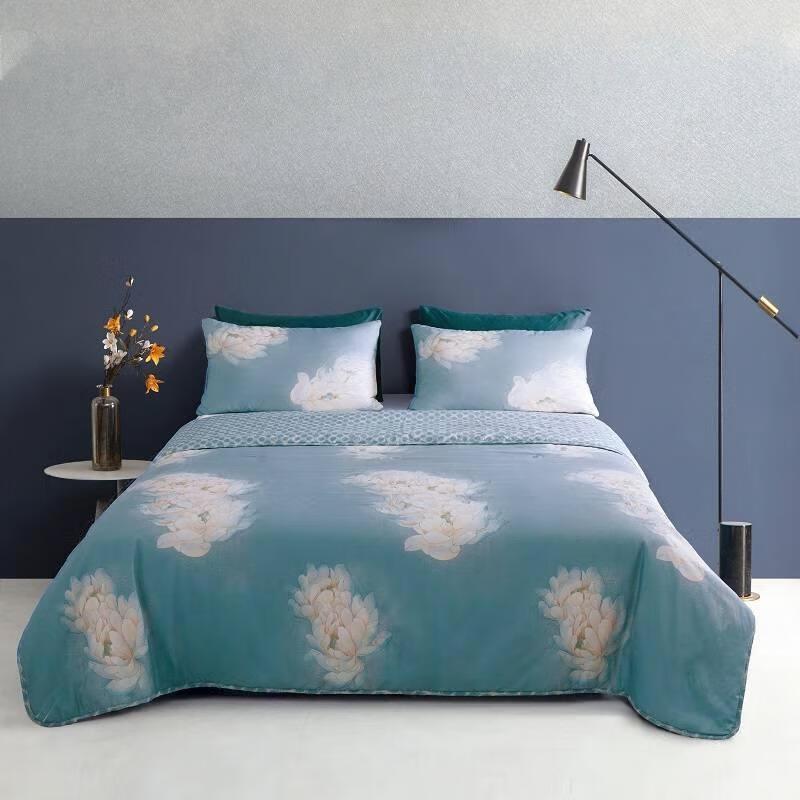 Mengjie Soft Printed All-Season Quilt Set with Pillow Inserts
