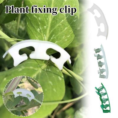 Dispozitiv de îndoire a plantelor Clemă pentru roșii din plastic Clemă de fixare Clemă de întărire Mâner pentru urechi Clemă de întărire a trunchiului de îndoire a ramurilor