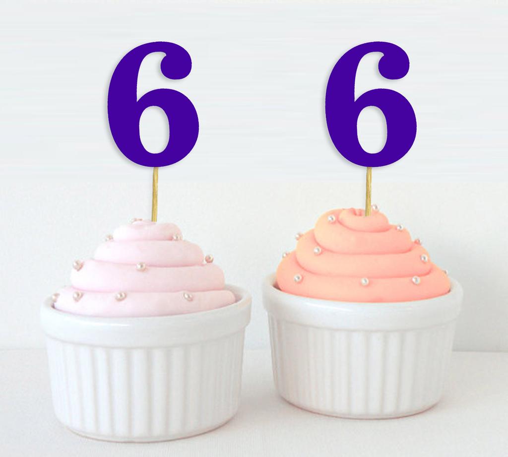 Darling Souvenir| Number 6 Birthday Year Cupcake Toppers| Birthday  Anniversary Party Dessert Decorations - Pack Of