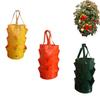 Plant Pot Planter Bags Planting Grow Bag 3 Gallons Outdoor Plastic Breathable Hanging Plant Bags
